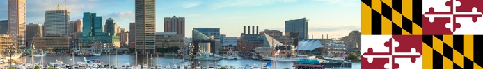 A harbor with boats situated across buildings with the state flag of Maryland.